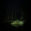 Логотип телеграм канала @just_goth — Nightmare of Loch Ness