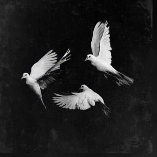 Логотип телеграм канала @justcomehomee — Just come home...