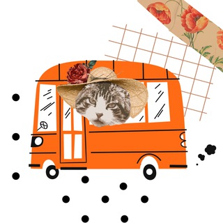 Логотип телеграм канала @justnewsinvol — Кот в автобусе