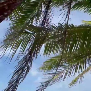 Логотип телеграм канала @justock — Just Travel ⚡канал по туризму от Специалиста