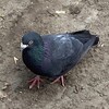 Логотип телеграм канала @jzetovna — я ночка 🌱