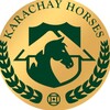 Логотип телеграм канала @k09_karachai_hors — 09_karachai_horses
