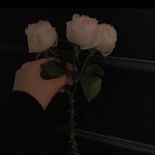 لوگوی کانال تلگرام k99k0 — 𝙹𝙰𝙽𝚄𝙰𝚁𝚈.