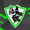 Логотип телеграм канала @k9sportik — К-9 на связи
