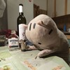 Логотип телеграм канала @kaaaaaaanoook — Незаурядно впечатляющие
