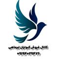 Logo saluran telegram kabotaranpareshe — کانال فروش کبوتران تیرماهی