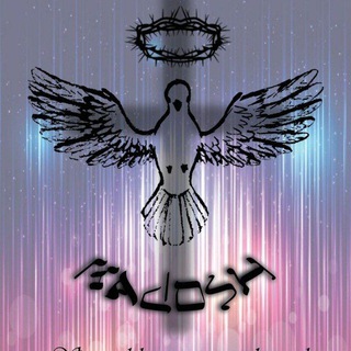 Telegram channel Kadosh logo
