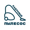 Логотип телеграм канала @kadrov_pylesos — кадровый пылесос