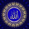 Логотип телеграм канала @kadyrov_838 — Kadyrov_838