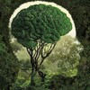 Логотип телеграм канала @kafidrain — ИнфоФакт| Факты | История | Наука |
