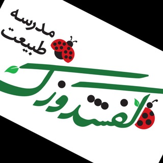 لوگوی کانال تلگرام kafshdoozakns — سفرهای کفشدوزکی🐞