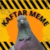 لوگوی کانال تلگرام kaftarmeme — MEME |کفتر میم
