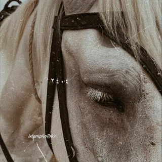 Logo of telegram channel kaguai — Өмүр сызыгы