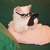 Логотип телеграм канала @kak_eto_eng — Kak eto po-russki?