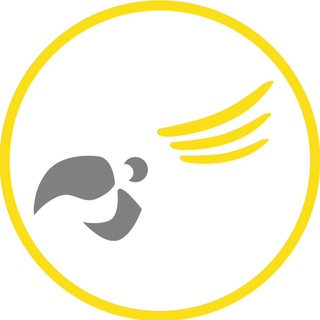 لوگوی کانال تلگرام kakado_me — كاكادو