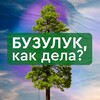 Логотип телеграм канала @kakdelabuz — Бузулук, как дела?