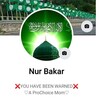 Logo of telegram channel kaknurbakar — Manual Kak Nur