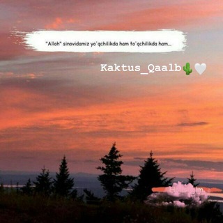 Telegram kanalining logotibi kaktus_qaalb — ➤ 🤍🌵 ᴋᴀᴋᴛᴜs ǫᴀᴀʟʙ 🌵🤍 🕊