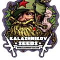 Logo saluran telegram kalashnikov_seeds_russia — 🍁Kalashnikov Seeds🍁
