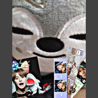 Логотип телеграм канала @kalfak — shimm shop🐾закладки/открытки🐾