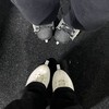 Логотип телеграм канала @kaliiinkkka — kkalinna
