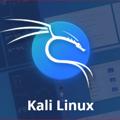 Logo saluran telegram kalilinyxer — Kali Linux