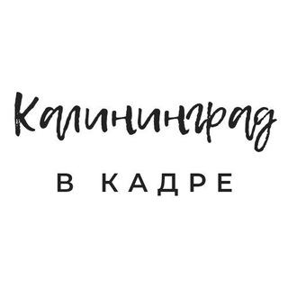 Логотип телеграм канала @kaliningrad_vkadre — Калининград в кадре