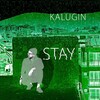 Логотип телеграм канала @kaluginsergei — Сергей Калугин