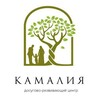 Логотип телеграм канала @kamaliyacentr — АНО ДРЦ «Камалия»