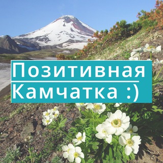 Логотип телеграм канала @kamchatkaplus — Позитивная Камчатка