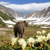 Логотип телеграм канала @kamchatkatodayy — Камчатка Сегодня І Новости