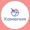Логотип телеграм канала @kamelia_icecream_khv — Камелия 🍧 Мороженое из Хабаровска