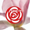 Логотип телеграм канала @kameliapluss — КАМЕЛИЯ  | Цветы Курск | Доставка цветов в Курске