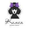 Логотип телеграм канала @kameyagrooming — Камея-груминг салон💜