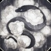 Логотип телеграм канала @kammellia — Καμέλια.