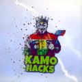 لوگوی کانال تلگرام kamohacks — KAMO HACkS 🪓 𝗜𝗣𝗔