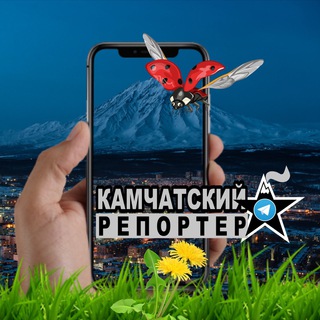 Telegram channel Камчатский Репортёр logo