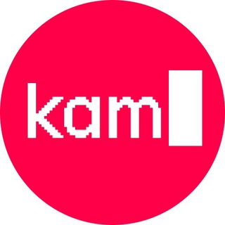 Логотип телеграм канала @kamyshev_code — kamyshev.code