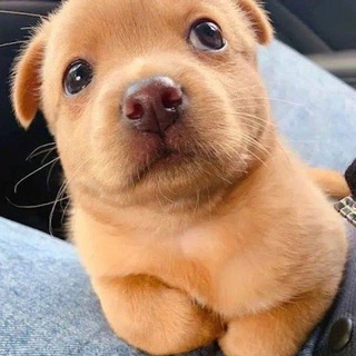 Логотип телеграм канала @kanal_stikery — СТИКЕРЫ | СТИКИ | ПАКИ