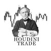 Logo of telegram channel kanal_timofeja — Houdini TRADE