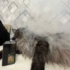 Логотип телеграм канала @kanalchikacho — кАнальчик кентов