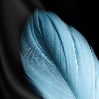 Логотип телеграм канала @kanalzero — Канал zero🥳