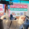 Логотип телеграм канала @kanariko — nar1koo༄