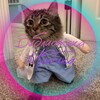 Telegram channel Библиотека Медика logo