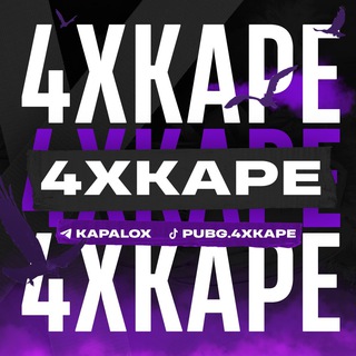 Логотип телеграм канала @kapalox — дача фор икс кейпа