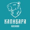 Логотип телеграм канала @kapibara_kuskovo — Капибара I Длительные в Кусково