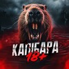 Логотип телеграм -каналу kapibara_trash — КАПІБАРА | 18 