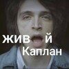 Логотип телеграм канала @kaplan_songs — Живой Каплан | ВАЛЕНТИН СТРЫКАЛО