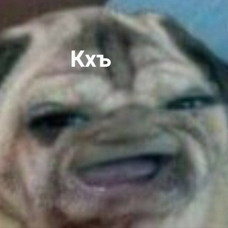 Логотип телеграм канала @kapybaryni — КХЪ