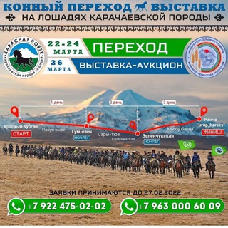 Логотип телеграм канала @karachayhorsetransition — КъПереходВыставка2022🐎